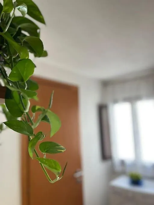 Palazzo Giardinello Apartment Trapani Italy
